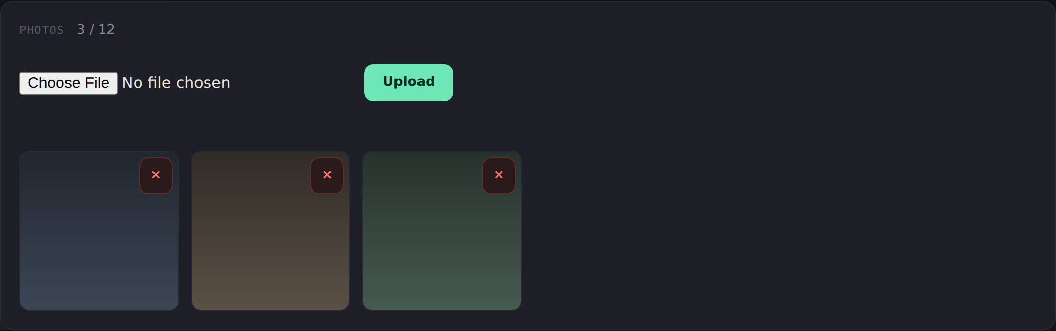 Pew Pew Collection photo attachments — up to 12 photos per firearm stored locally in the data volume